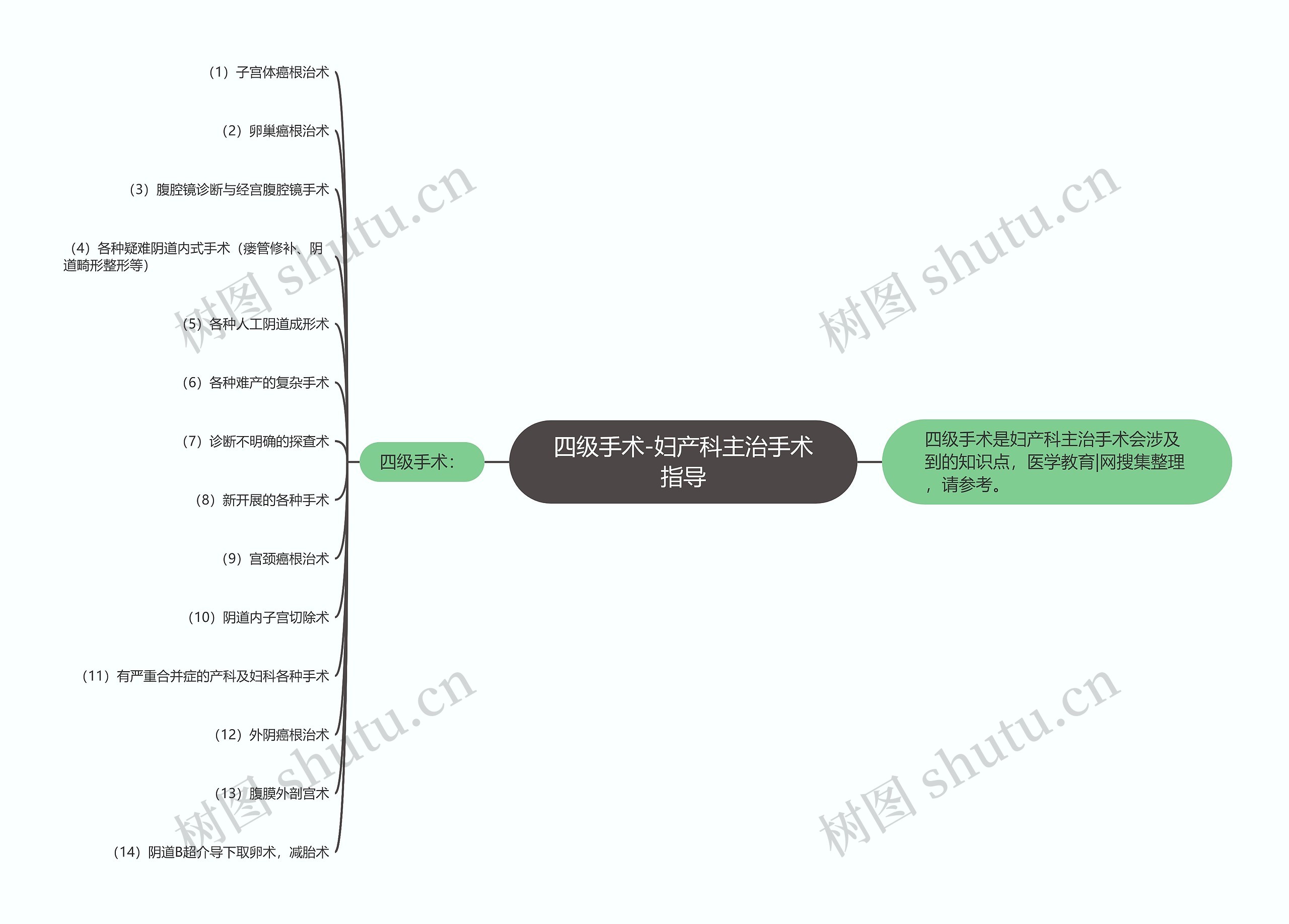 四级手术-妇产科主治手术指导