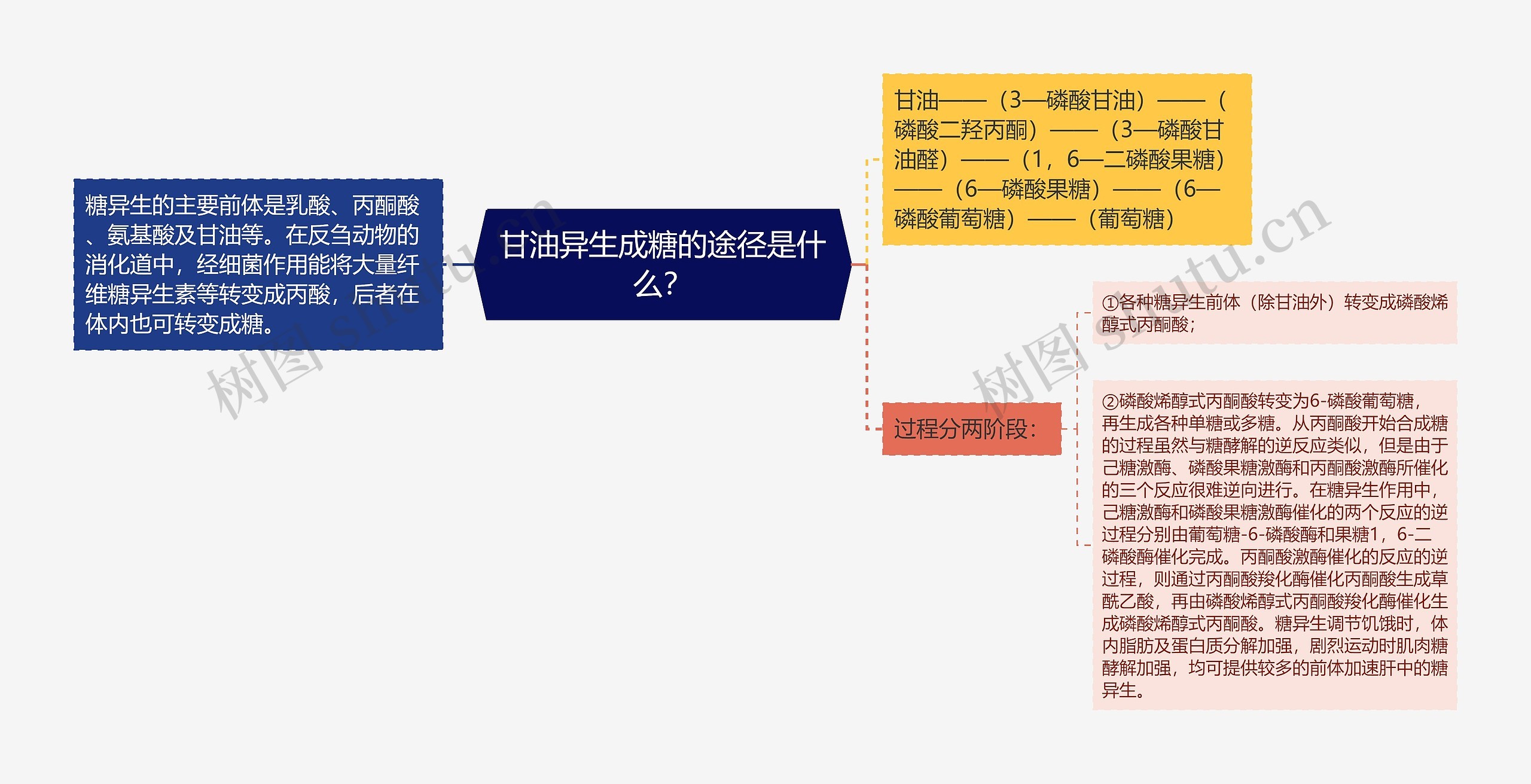 甘油异生成糖的途径是什么？