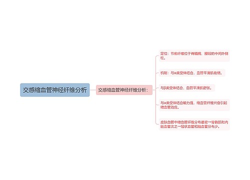 交感缩血管神经纤维分析