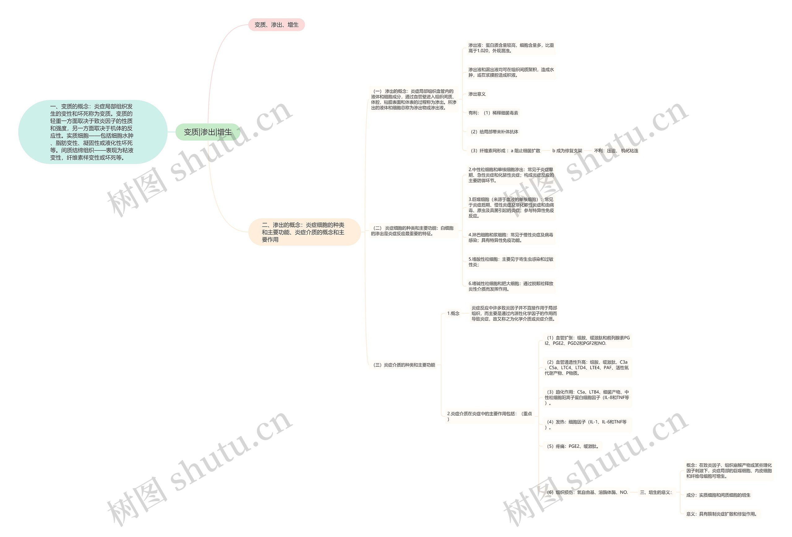 变质|渗出|增生 变质|渗出|增生