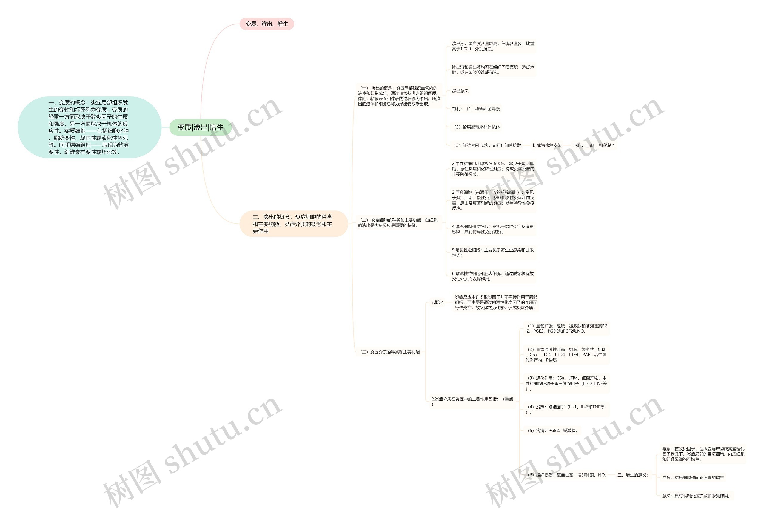 变质|渗出|增生思维导图