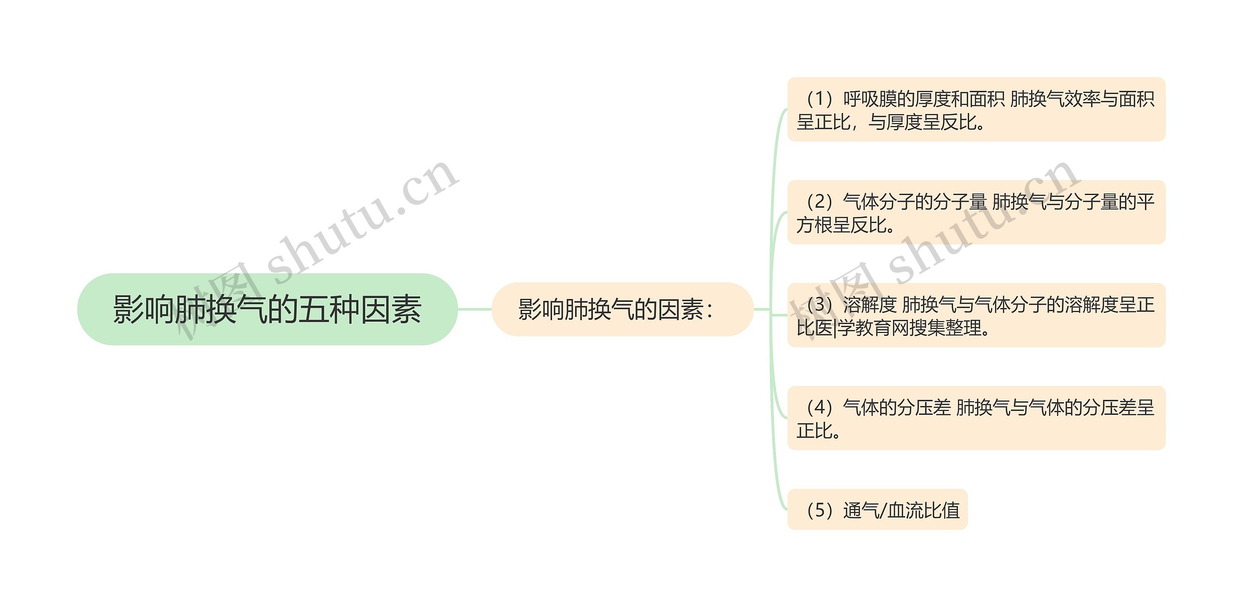 影响肺换气的五种因素思维导图