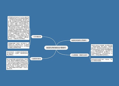 胸膜和肺的解剖步骤解析