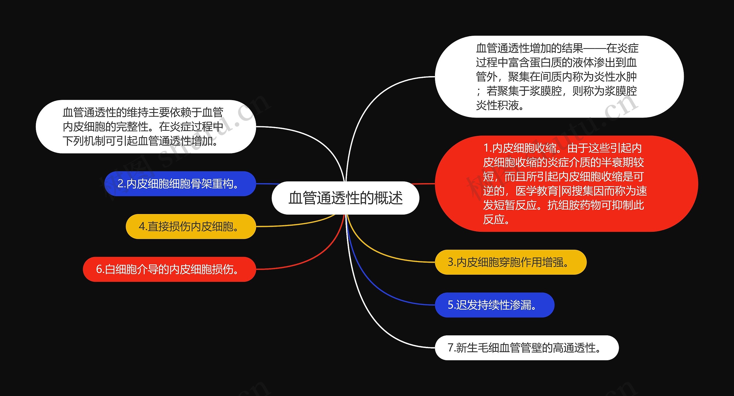 血管通透性的概述 血管通透性的概述