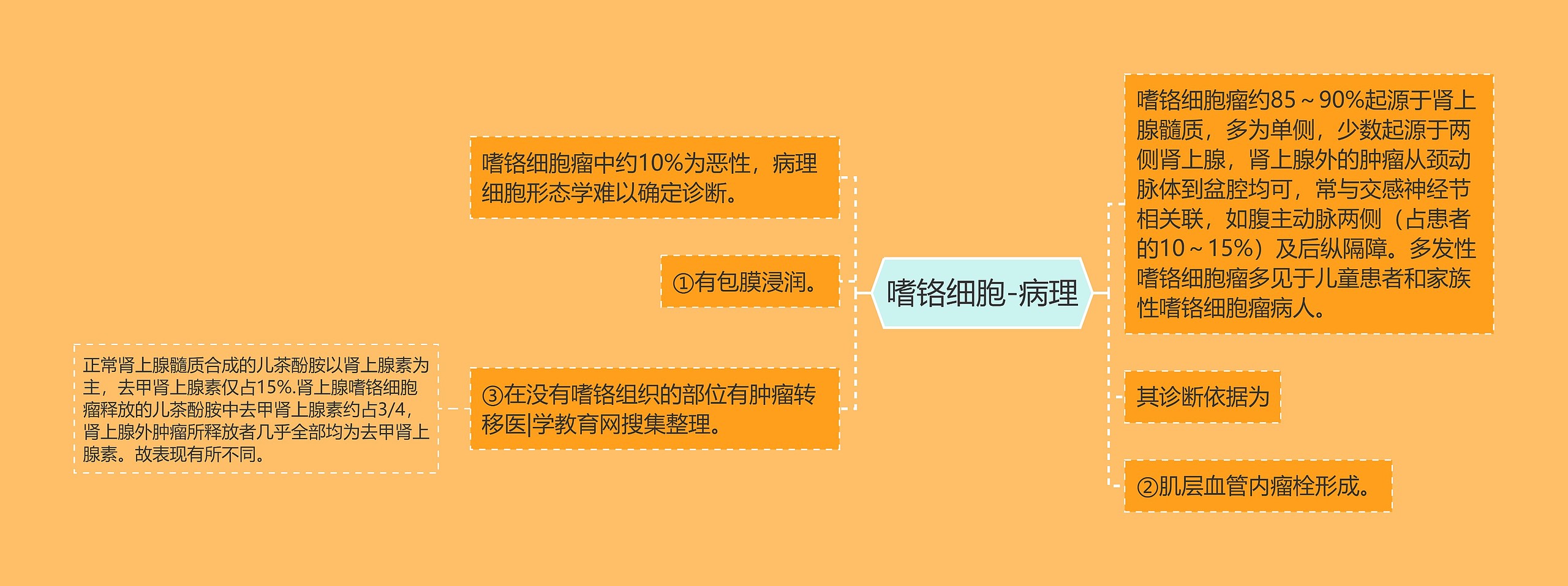 嗜铬细胞-病理 嗜铬细胞-病理