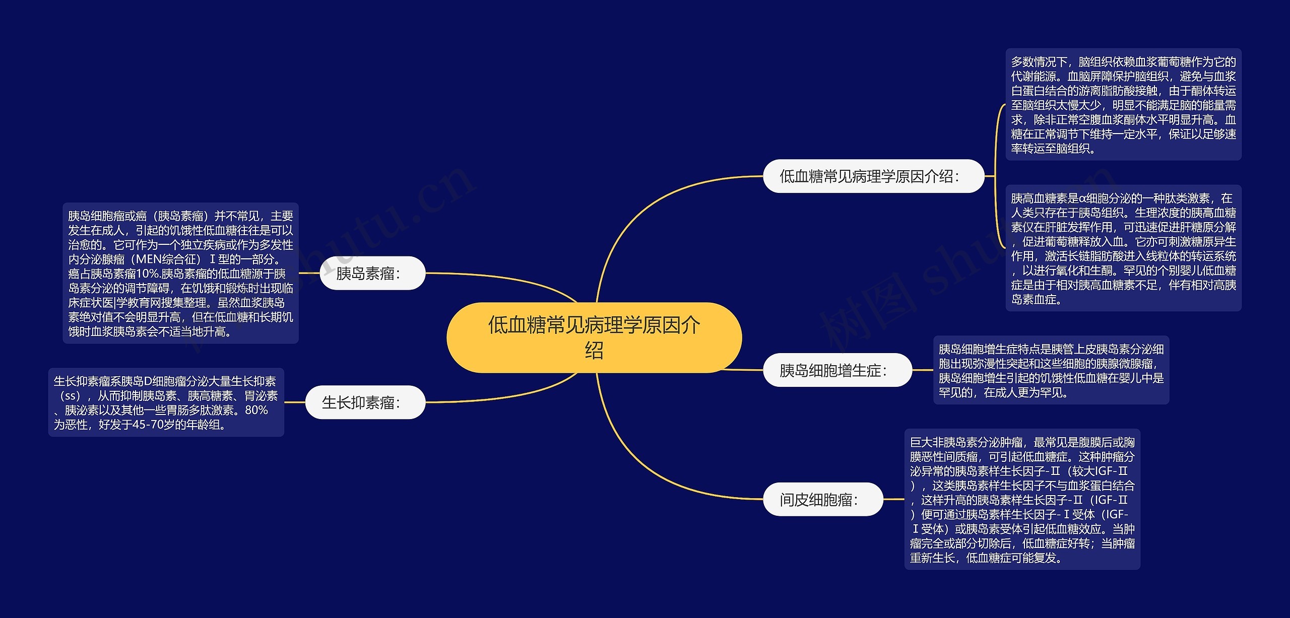 低血糖常见病理学原因介绍思维导图