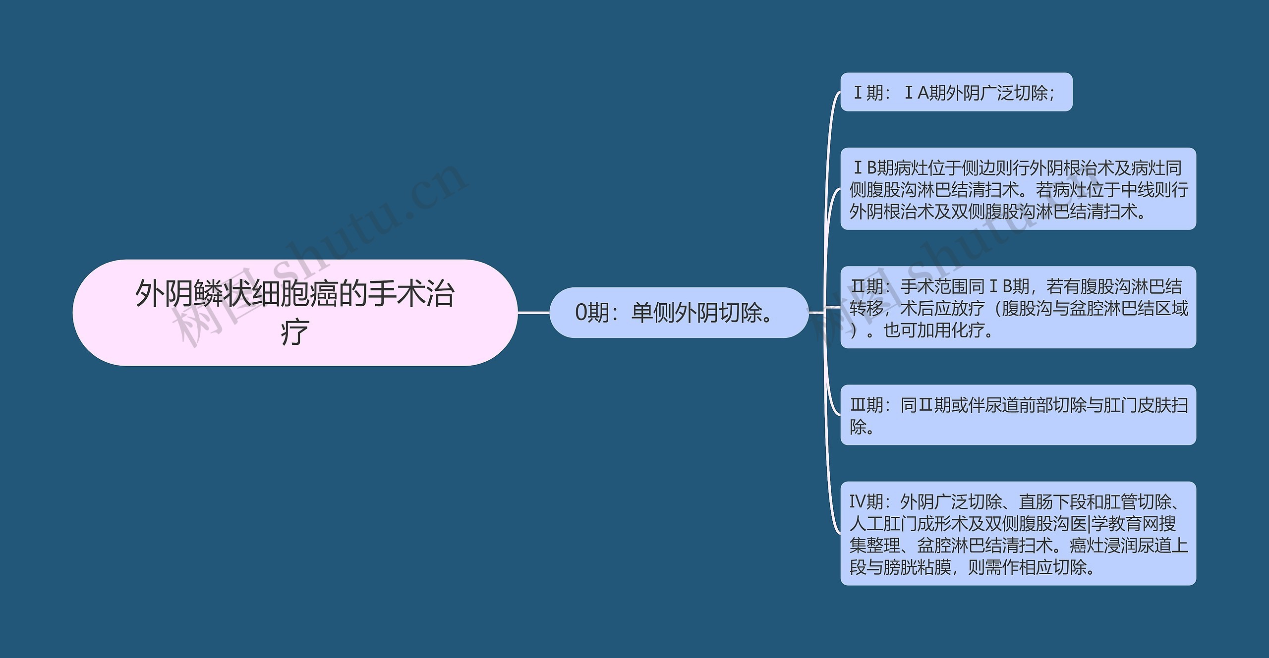 外阴鳞状细胞癌的手术治疗思维导图