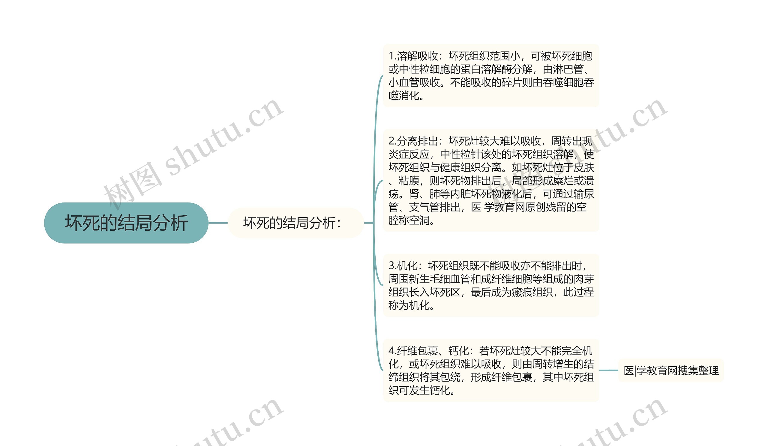 坏死的结局分析思维导图