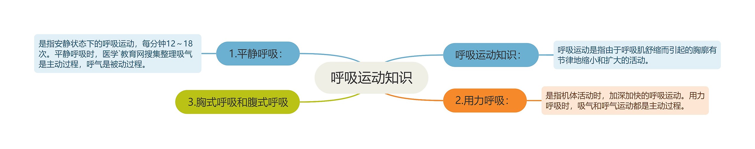 呼吸运动知识 呼吸运动知识