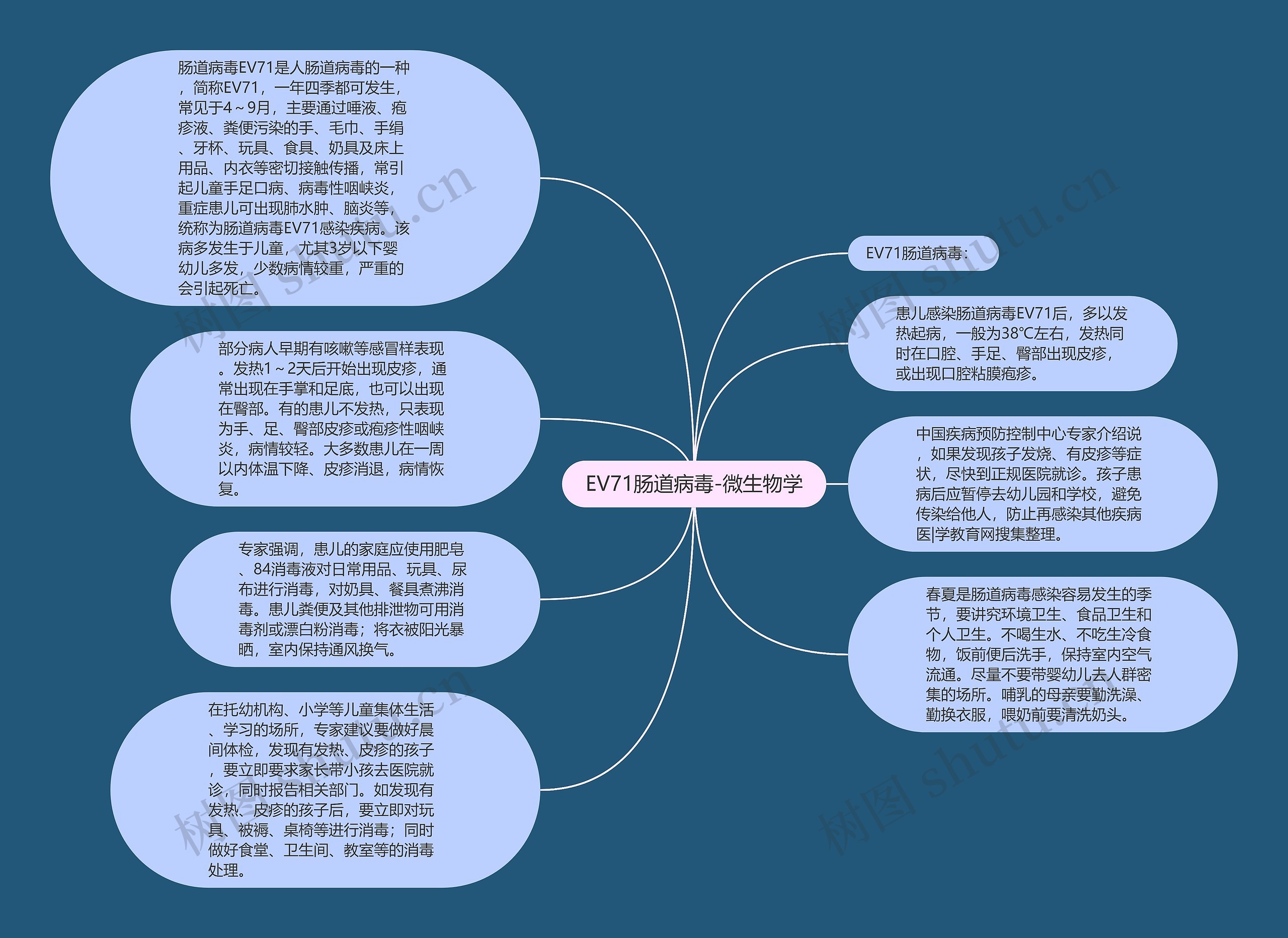 EV71肠道病毒-微生物学思维导图