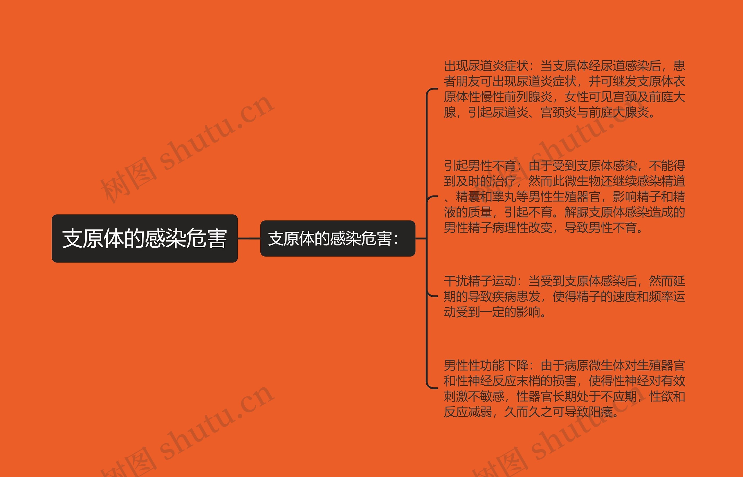 支原体的感染危害思维导图