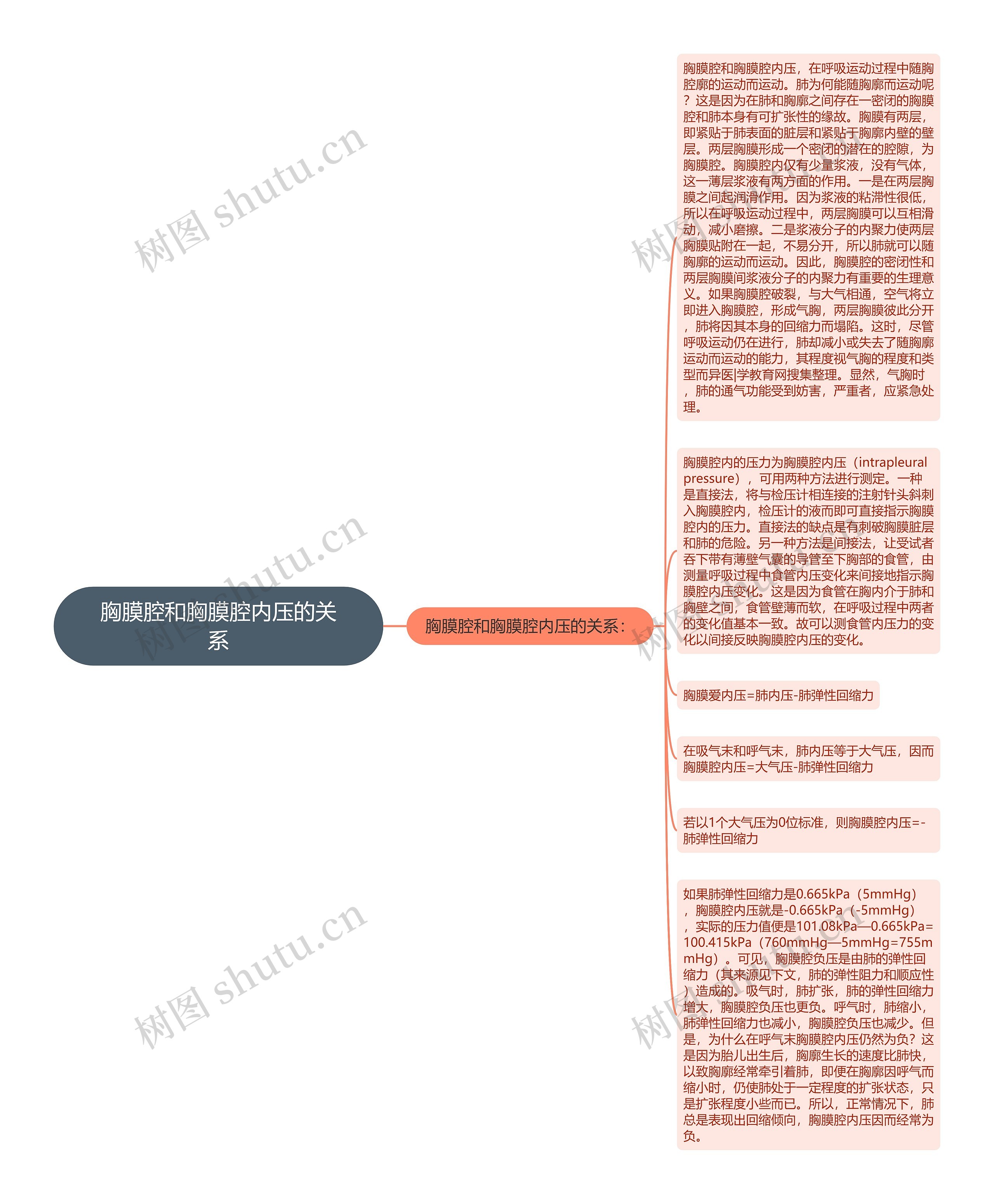 胸膜腔和胸膜腔内压的关系思维导图