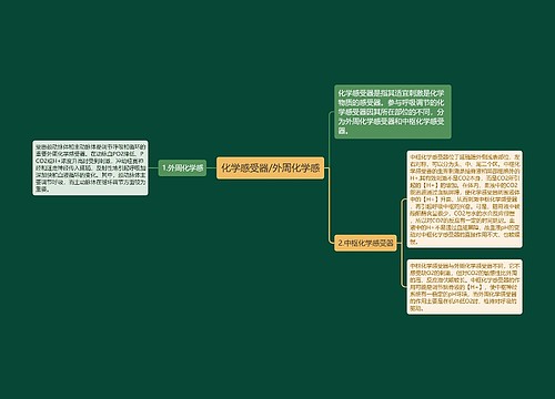 化学感受器/外周化学感