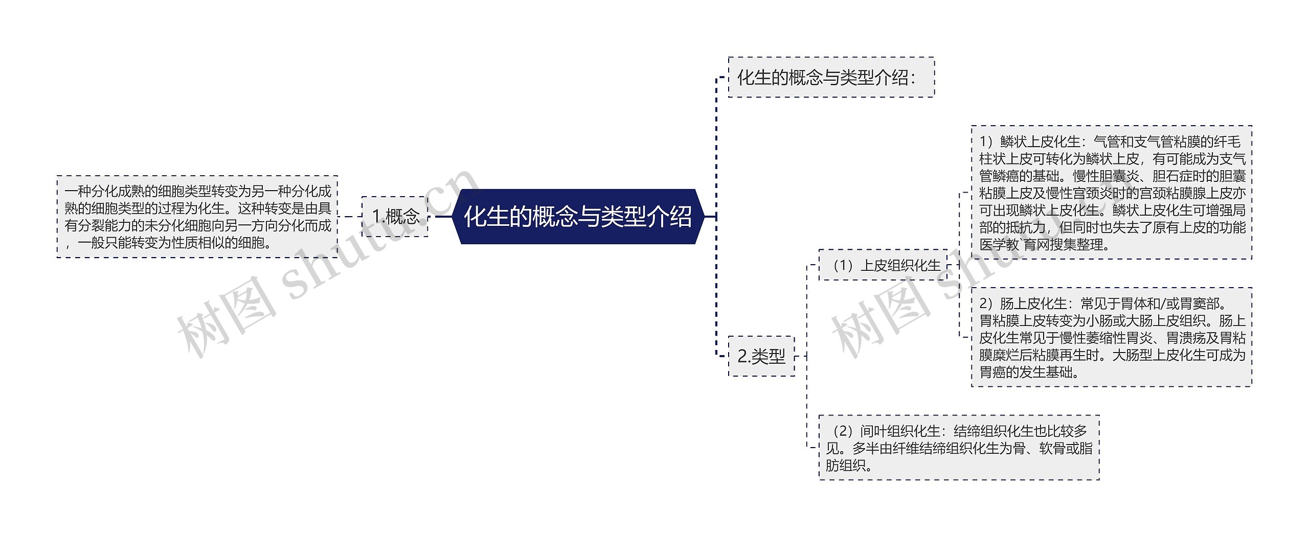 化生的概念与类型介绍思维导图