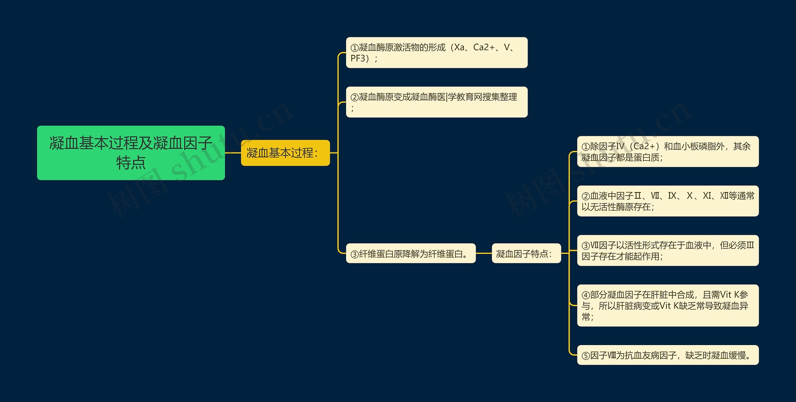 凝血基本过程及凝血因子特点思维导图