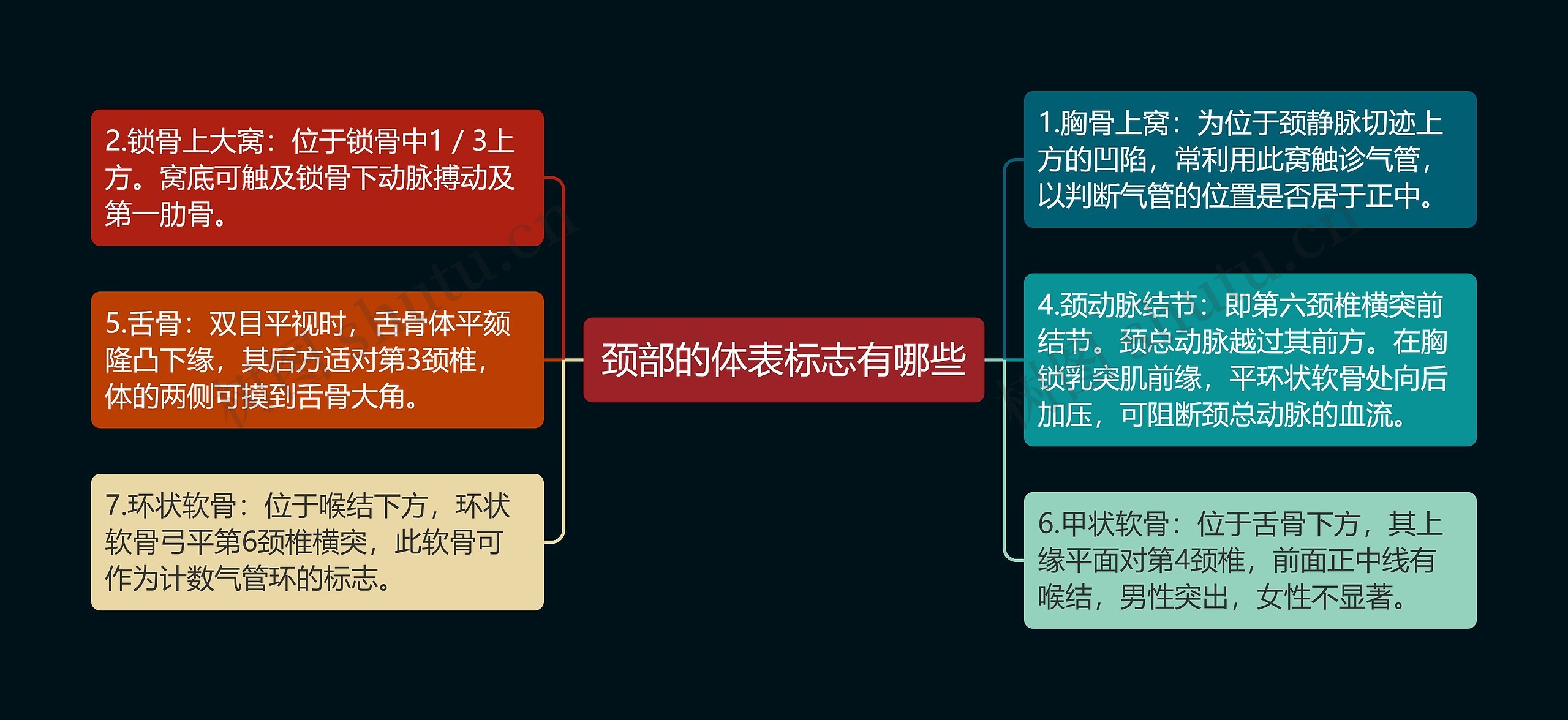 颈部的体表标志有哪些思维导图