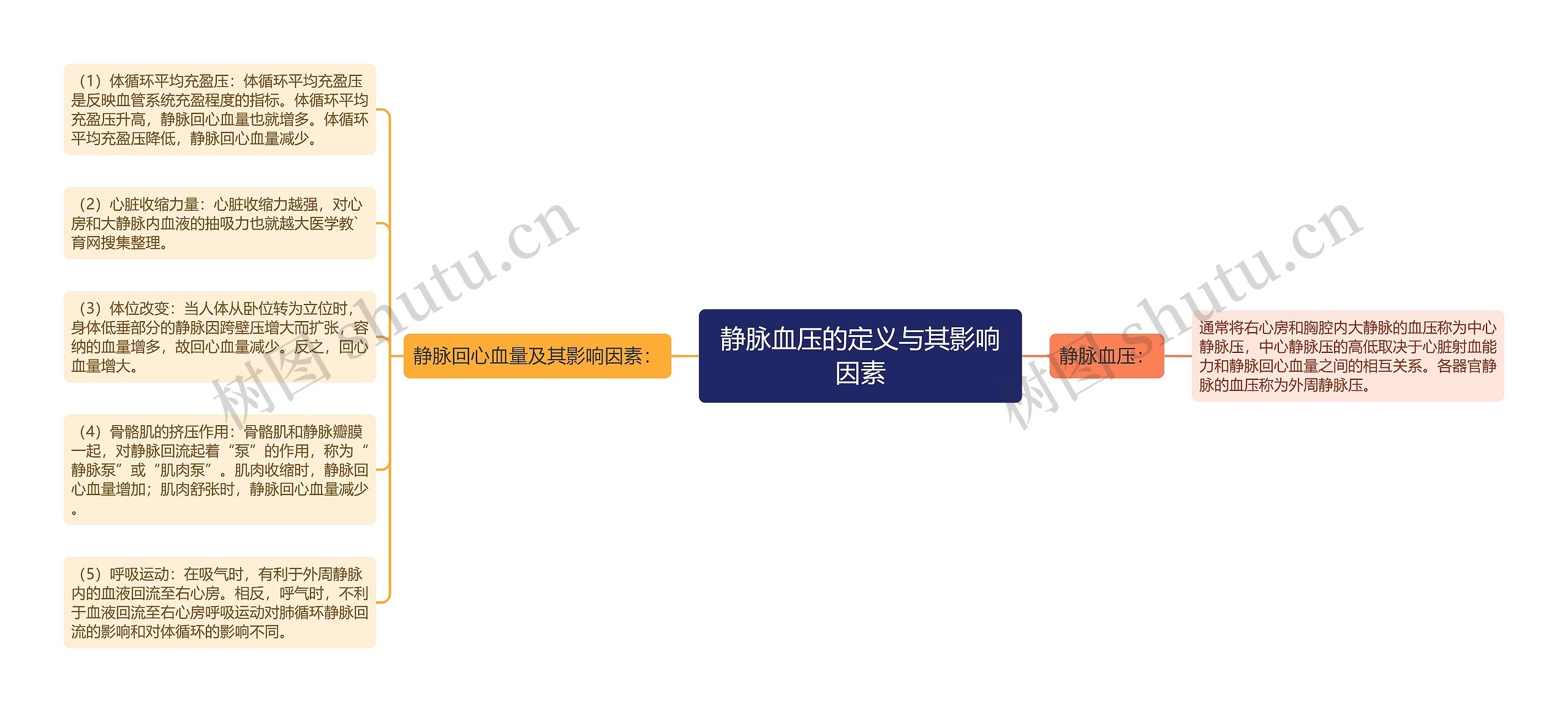 静脉血压的定义与其影响因素 静脉血压的定义与其影响因素