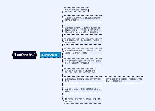 生殖系统的组成