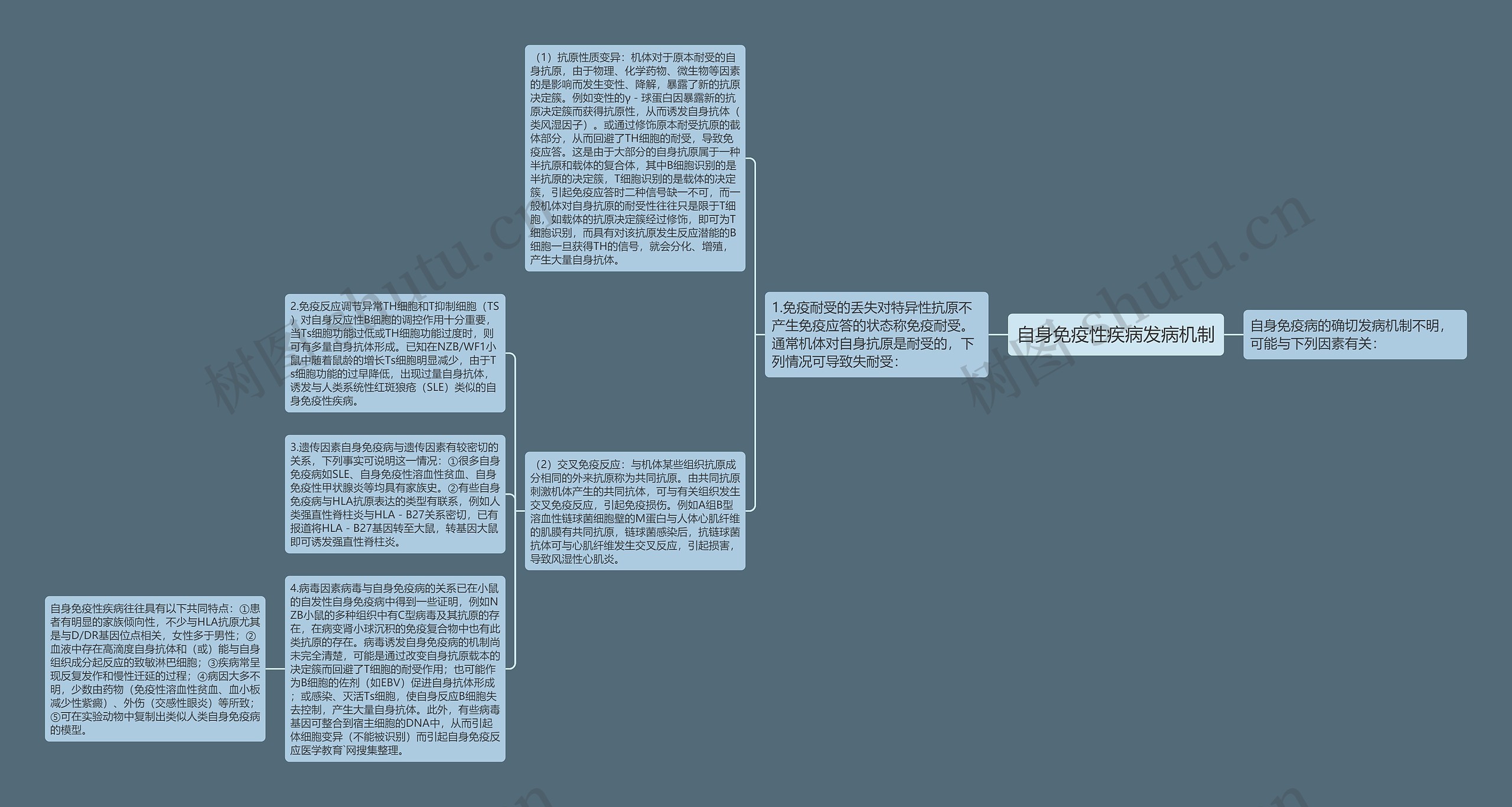 自身免疫性疾病发病机制思维导图