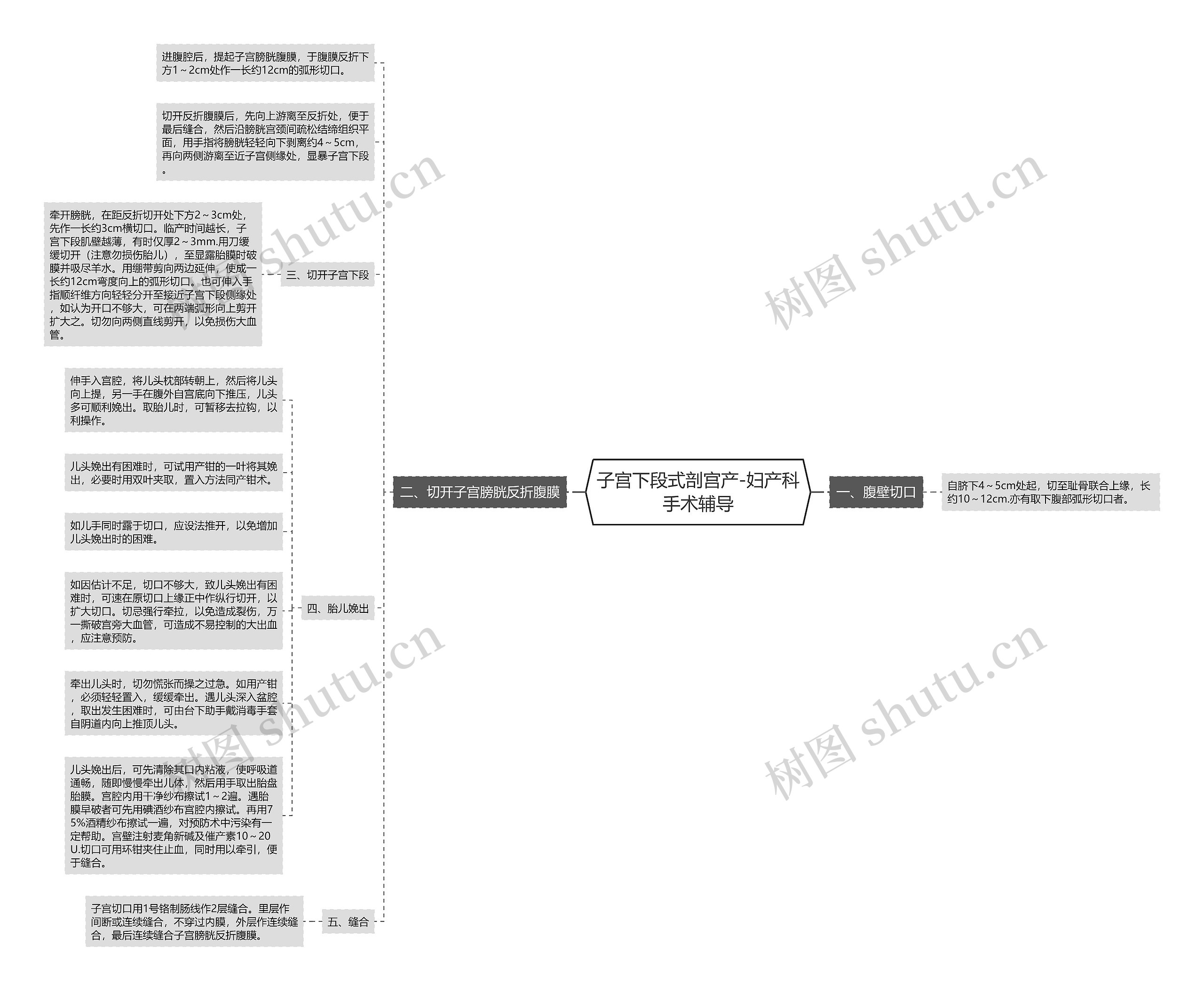 子宫下段式剖宫产-妇产科手术辅导 子宫下段式剖宫产-妇产科手术辅导