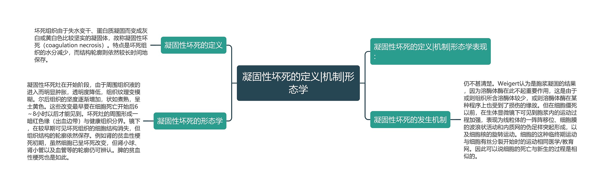 凝固性坏死的定义|机制|形态学