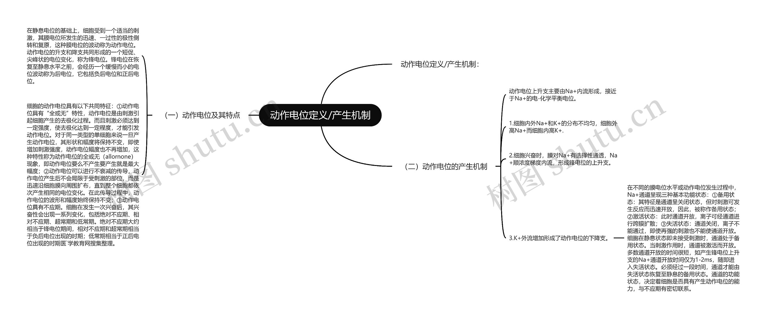 动作电位定义/产生机制思维导图