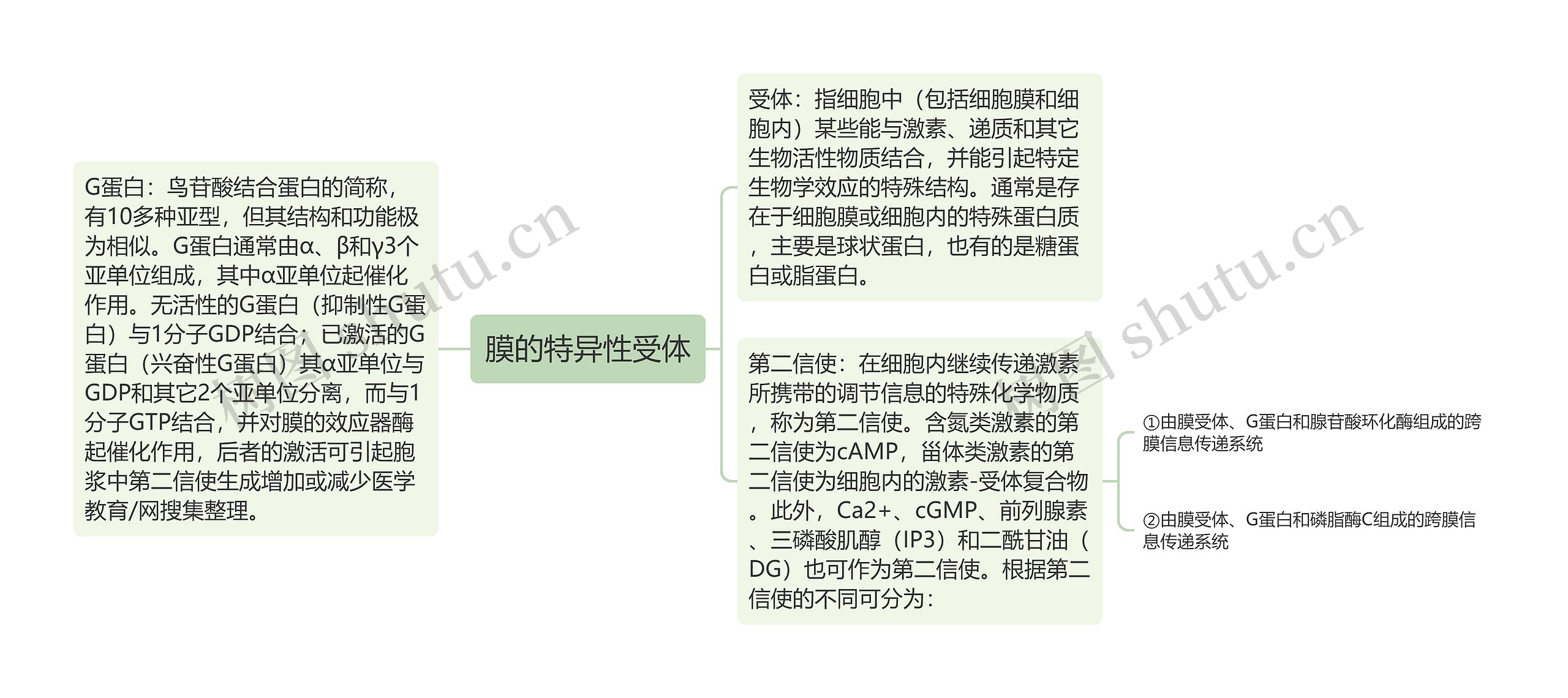 膜的特异性受体 膜的特异性受体