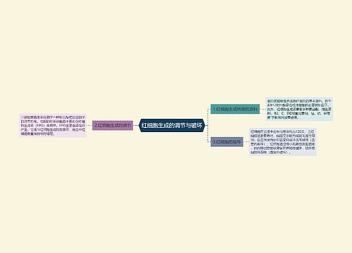 红细胞生成的调节与破坏