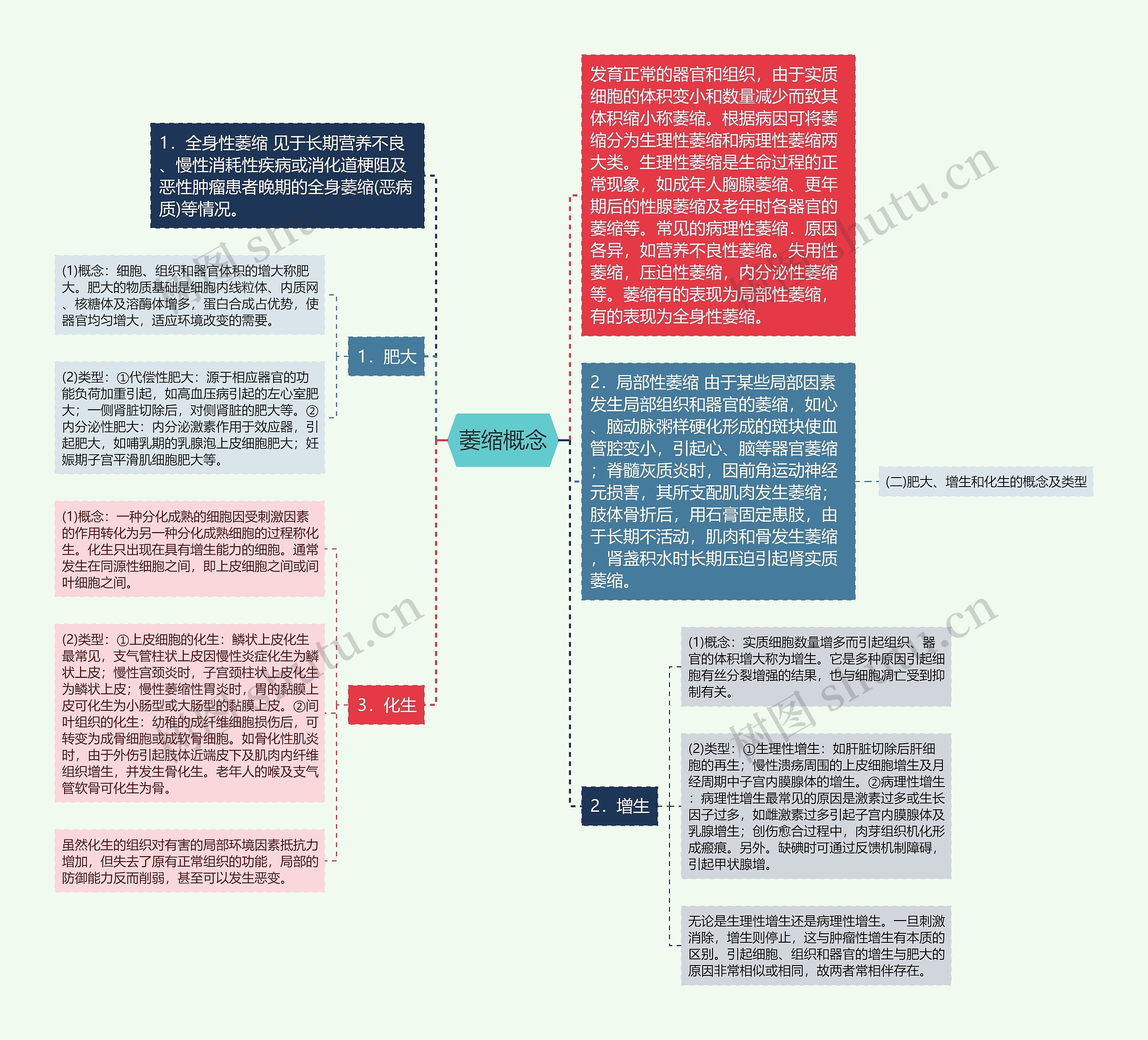 萎缩概念思维导图