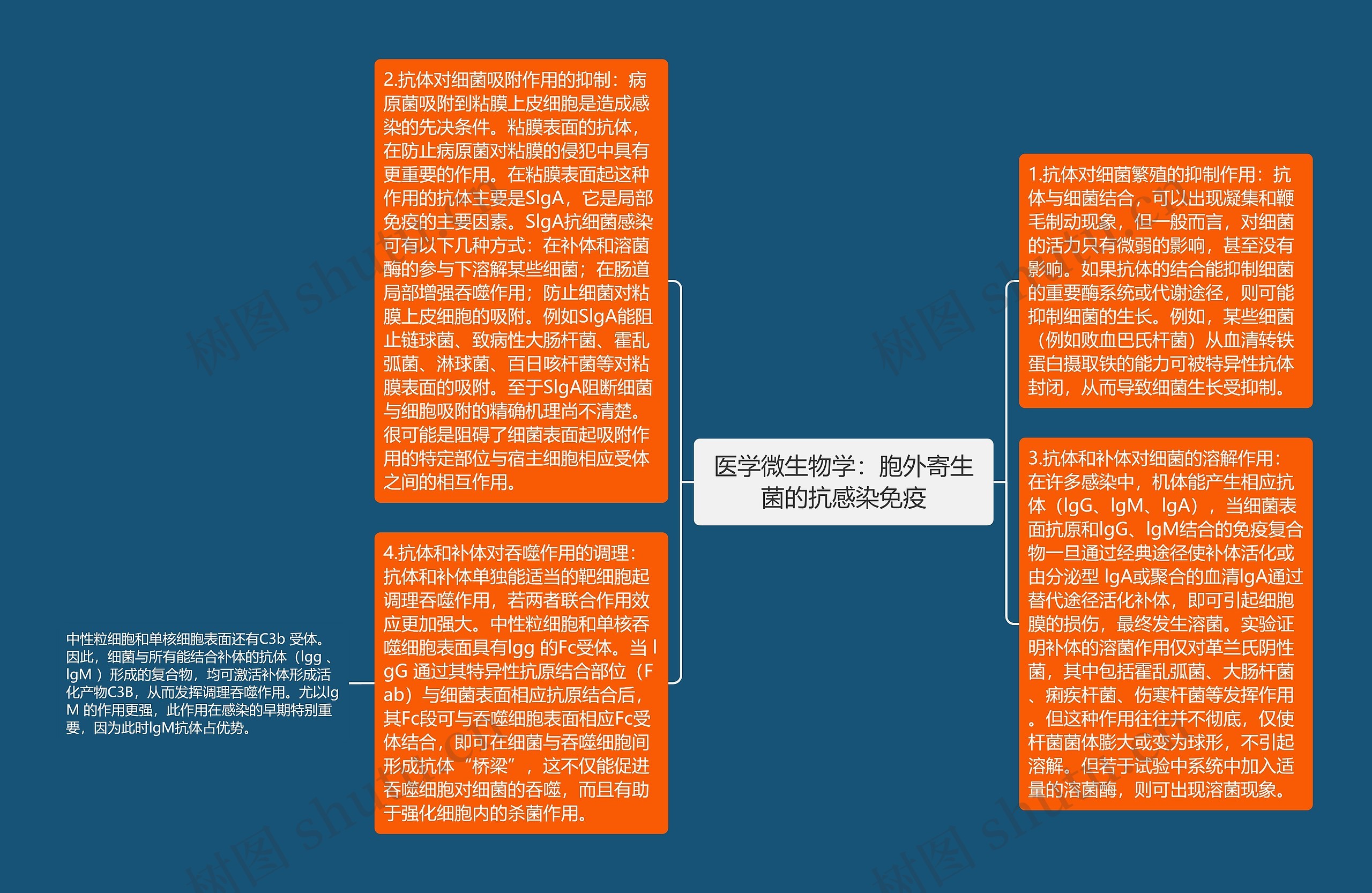 医学微生物学：胞外寄生菌的抗感染免疫