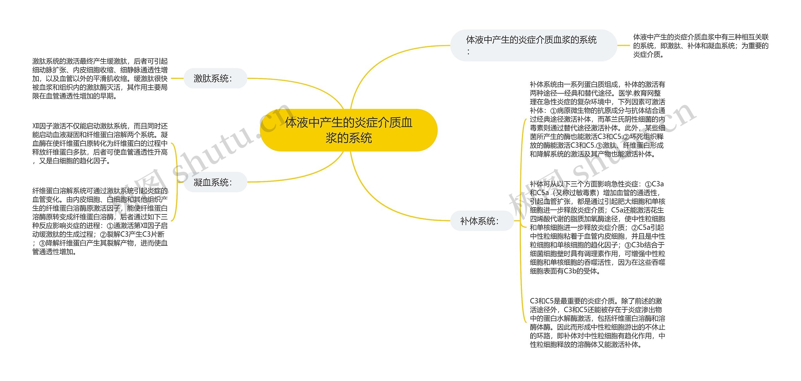 体液中产生的炎症介质血浆的系统