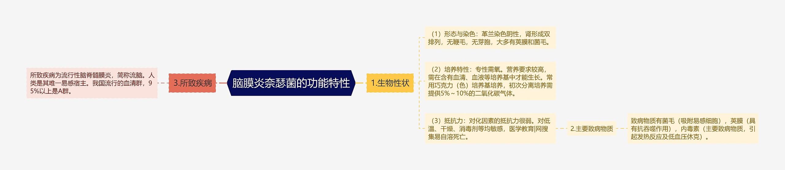 脑膜炎奈瑟菌的功能特性