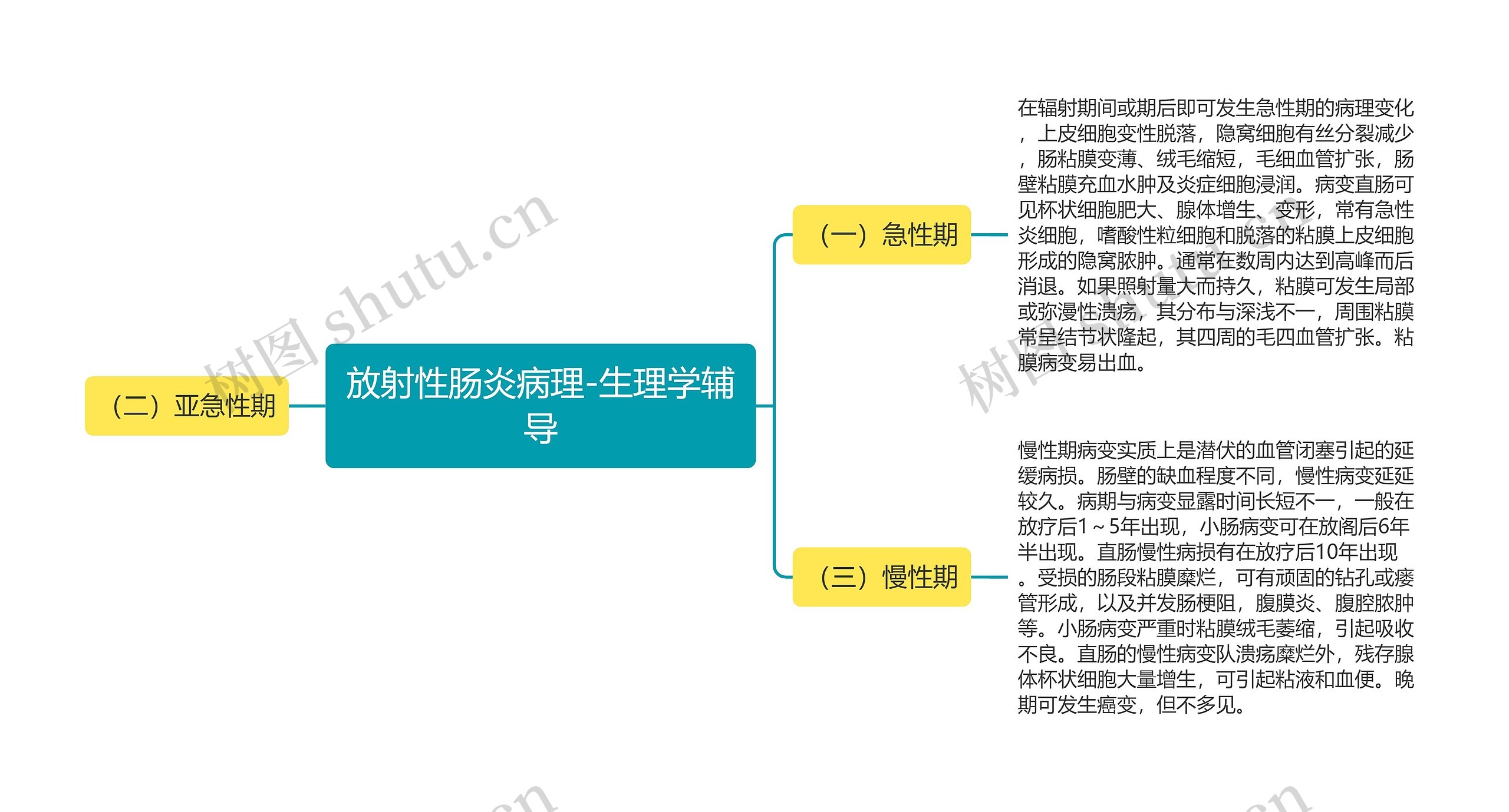 放射性肠炎病理-生理学辅导