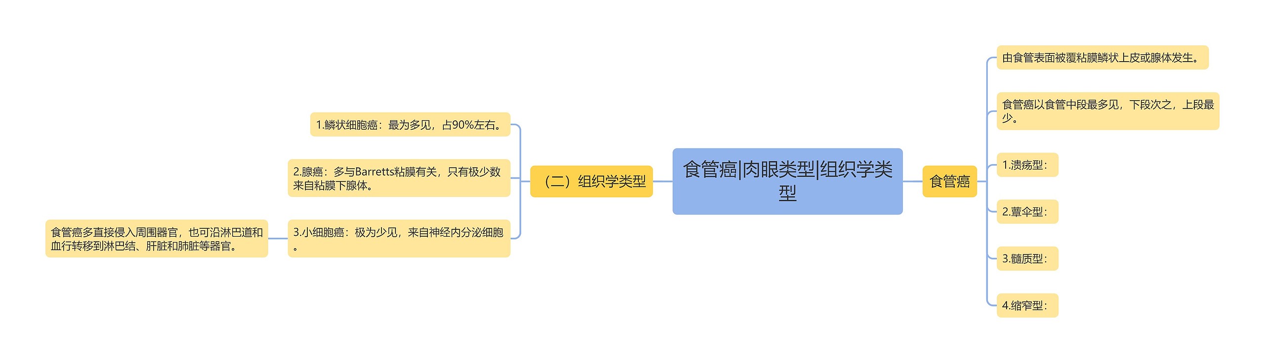 食管癌|肉眼类型|组织学类型