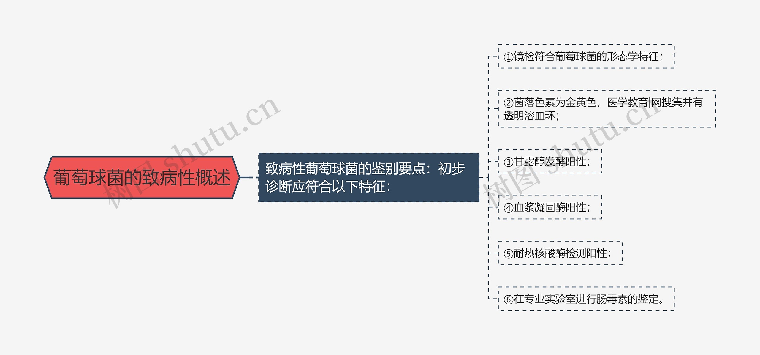 葡萄球菌的致病性概述 葡萄球菌的致病性概述