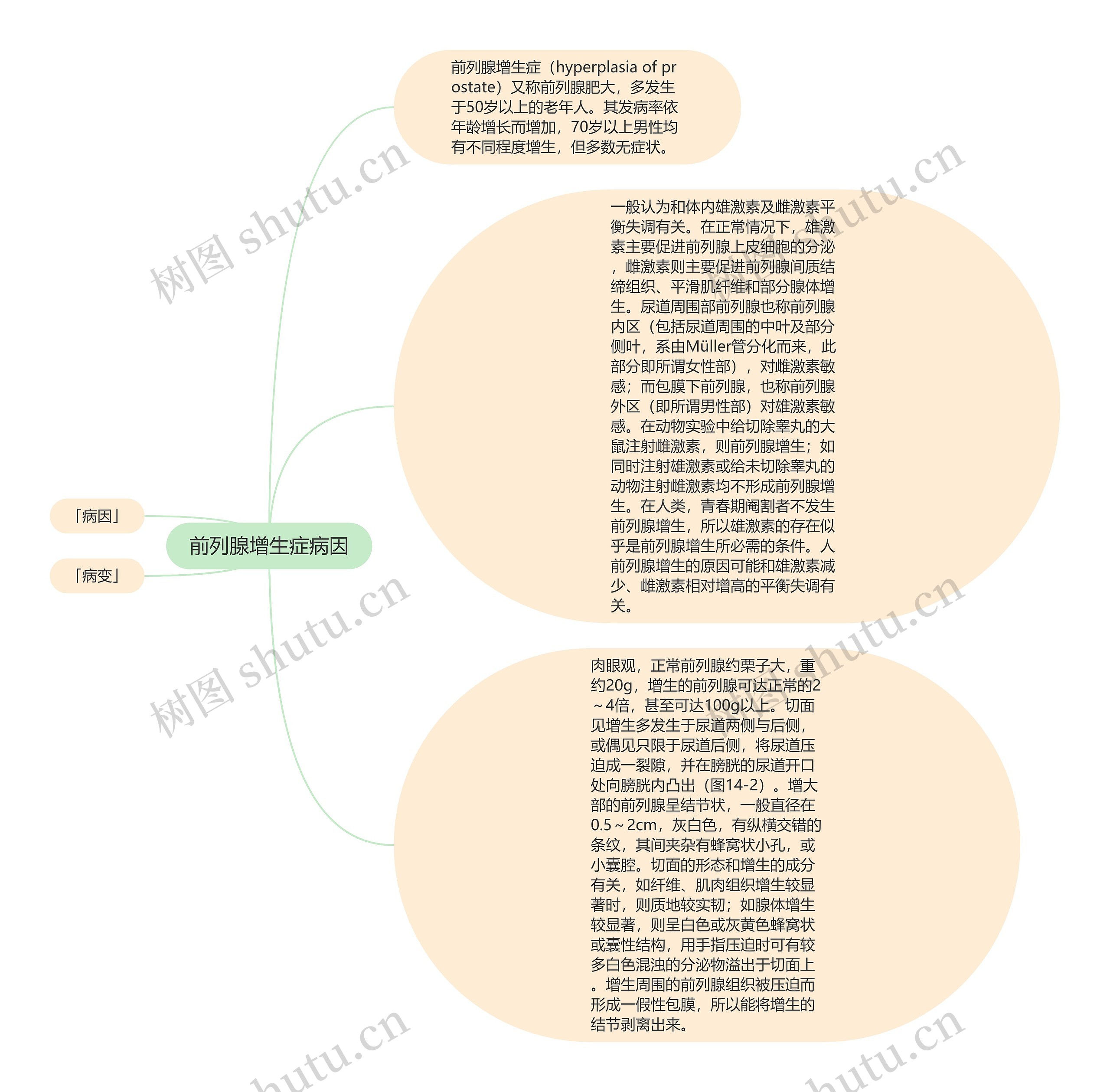 前列腺增生症病因思维导图