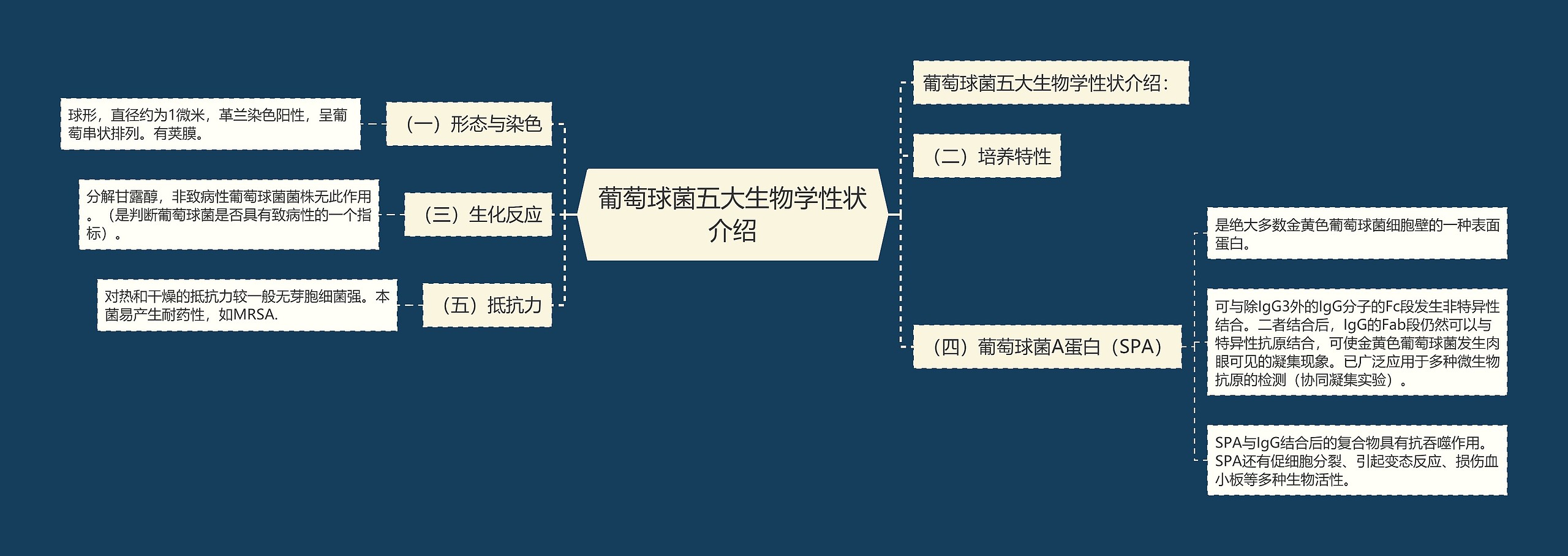 葡萄球菌五大生物学性状介绍