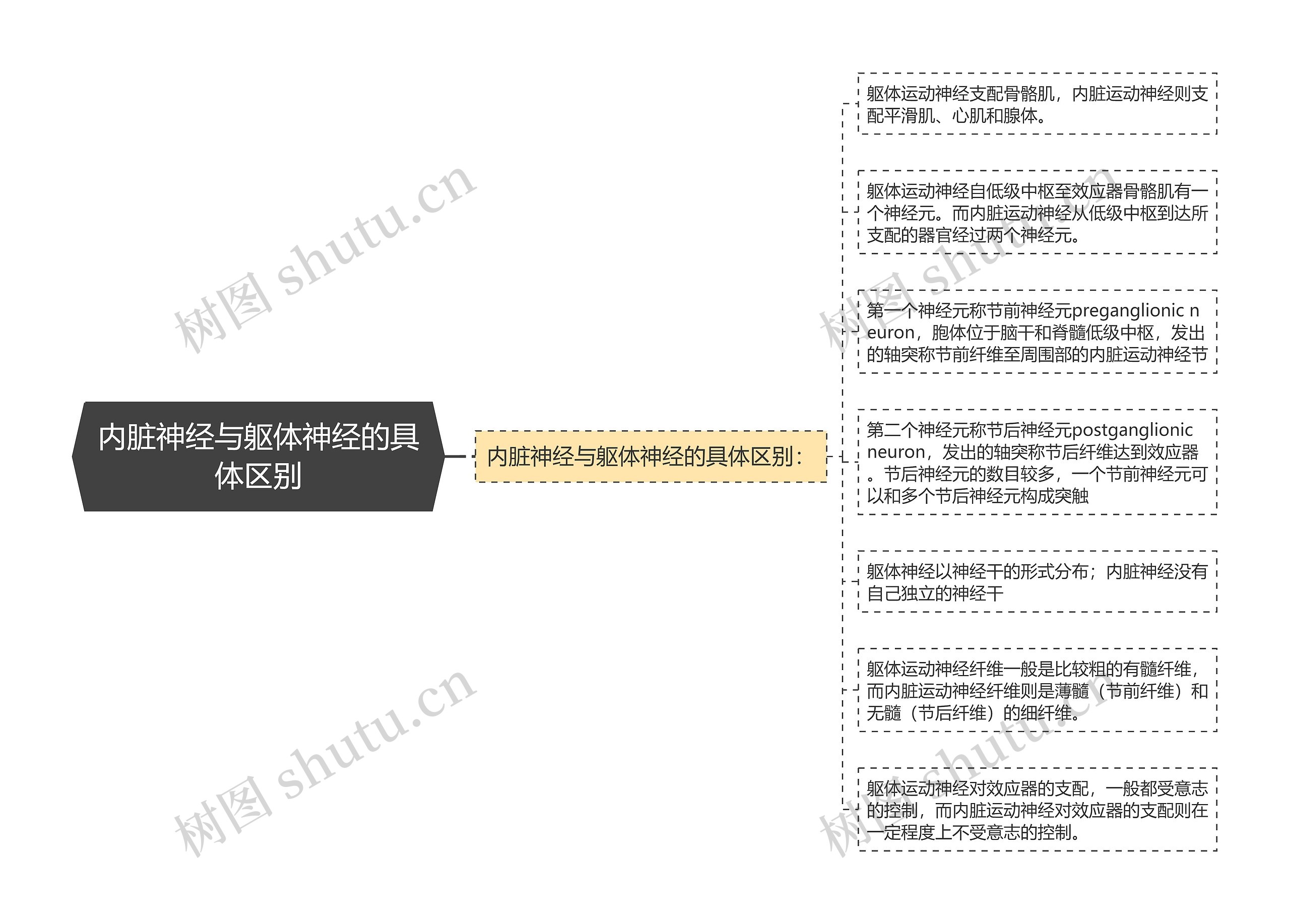 内脏神经与躯体神经的具体区别