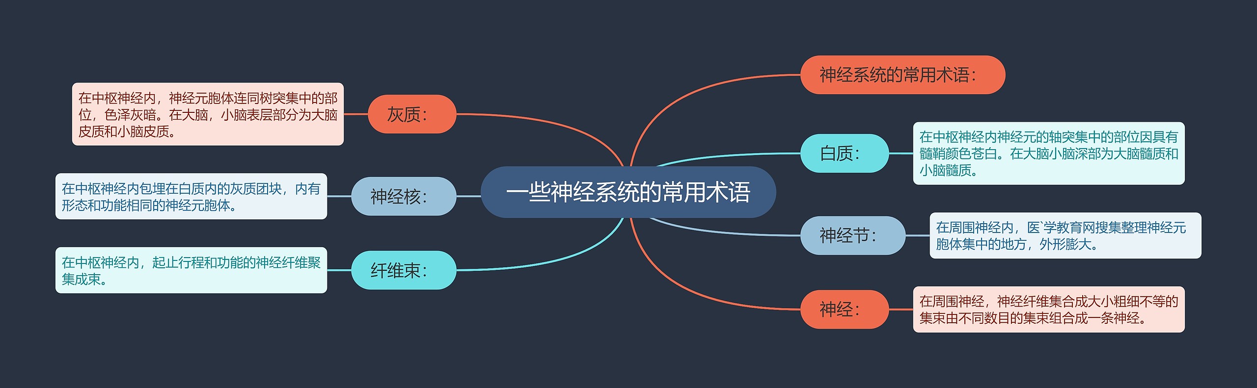 一些神经系统的常用术语思维导图