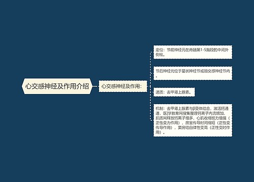 心交感神经及作用介绍