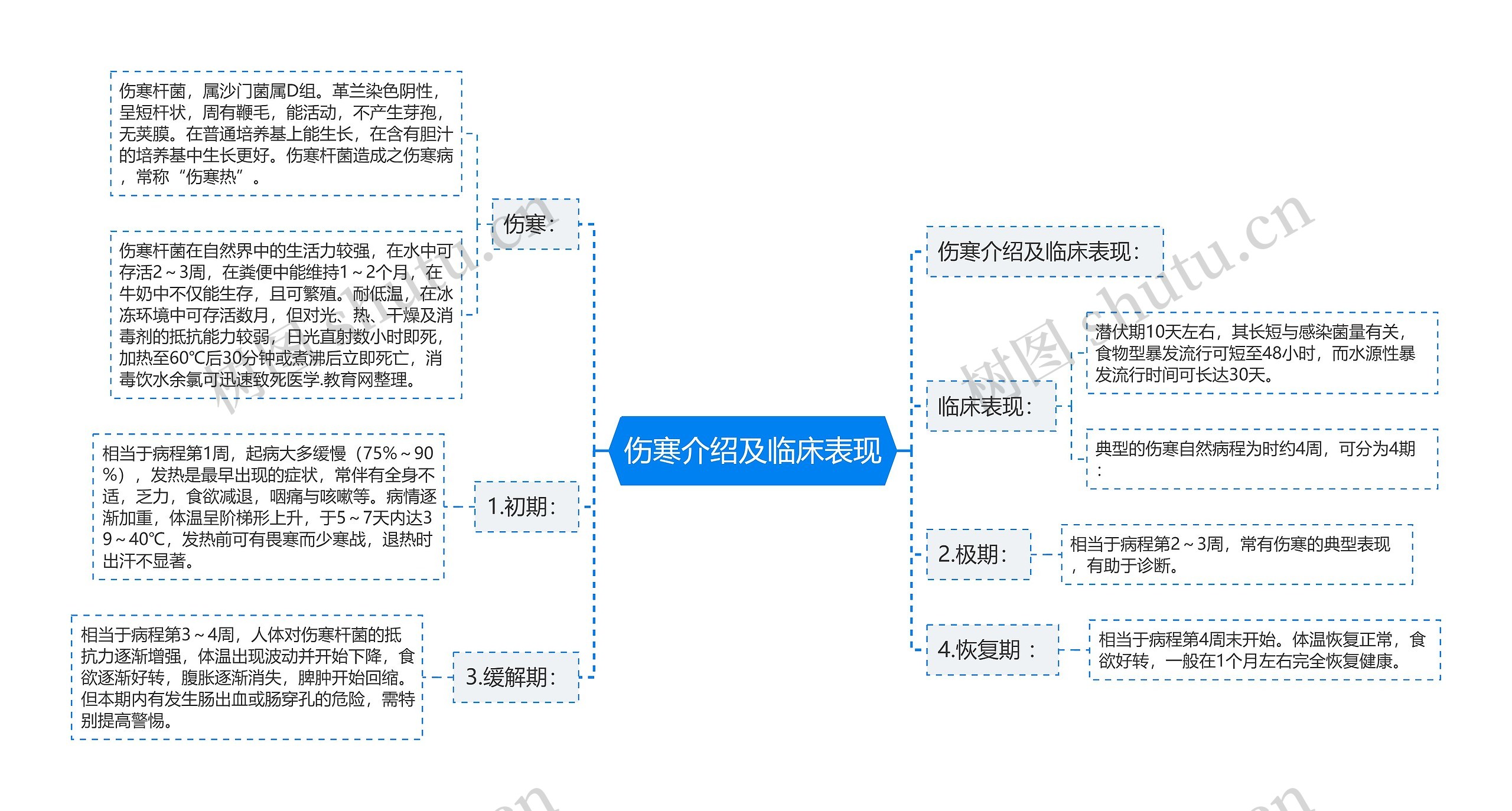 伤寒介绍及临床表现