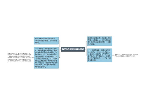 胸部的矢状断面解剖概述