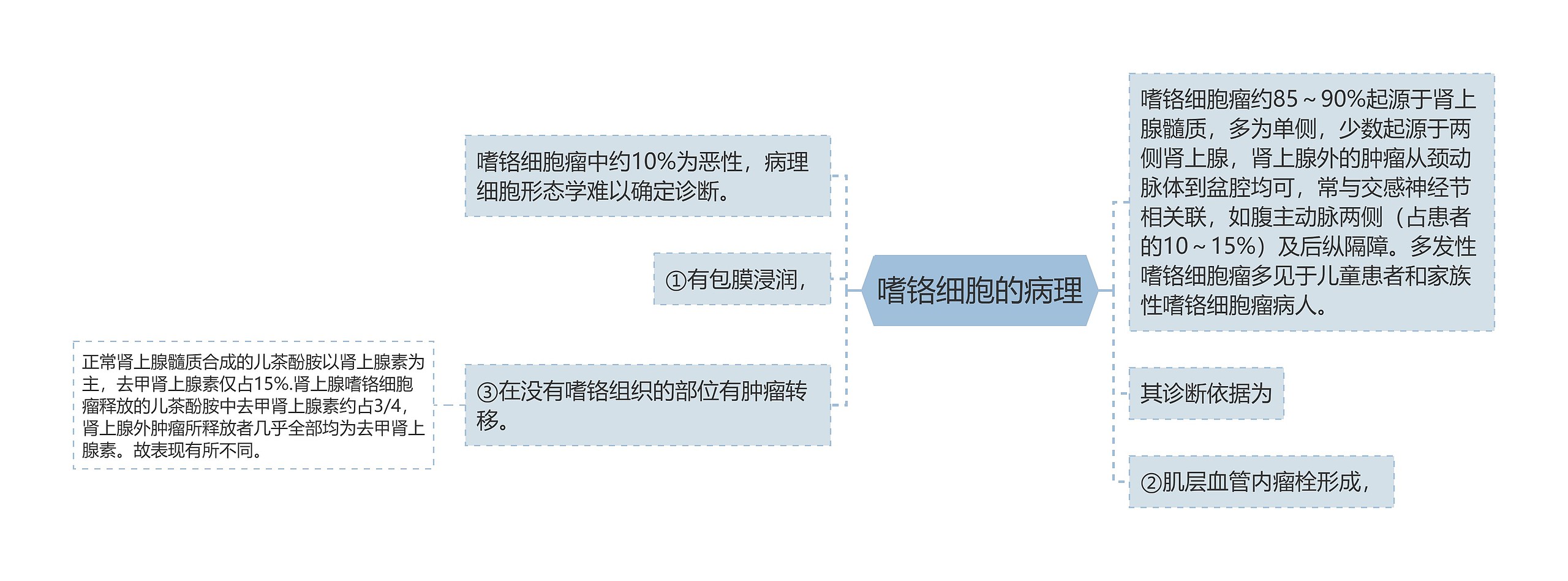 嗜铬细胞的病理