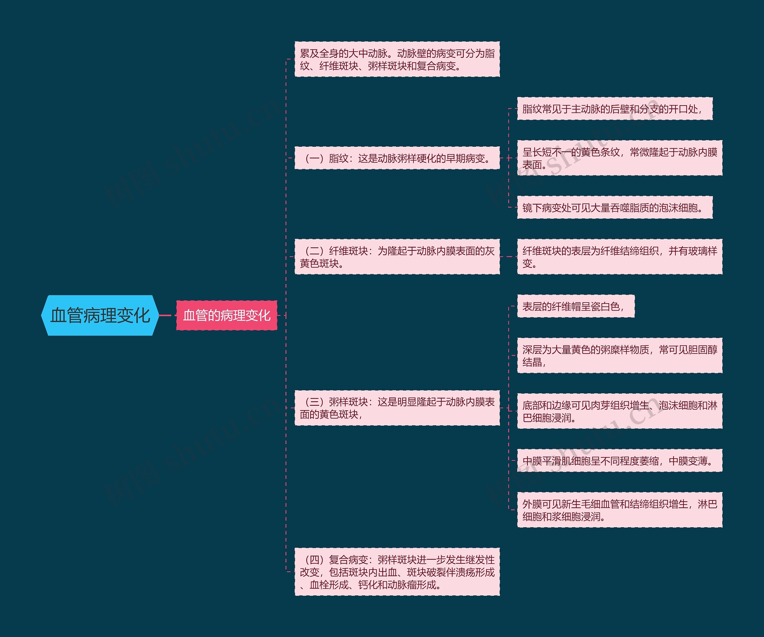 血管病理变化思维导图