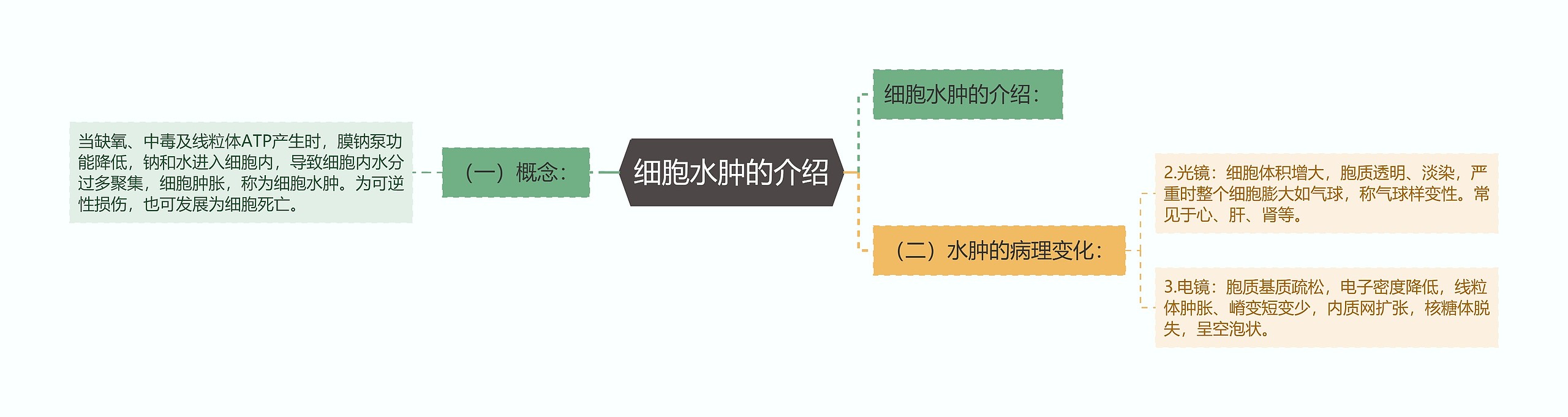 细胞水肿的介绍思维导图