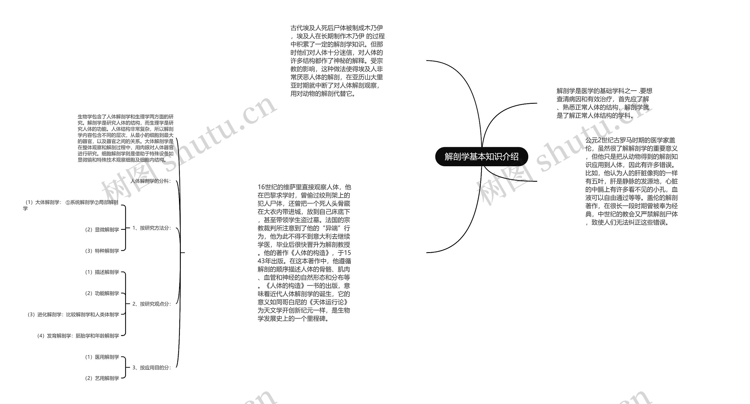 解剖学基本知识介绍