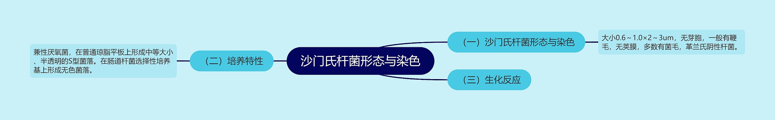 沙门氏杆菌形态与染色 沙门氏杆菌形态与染色