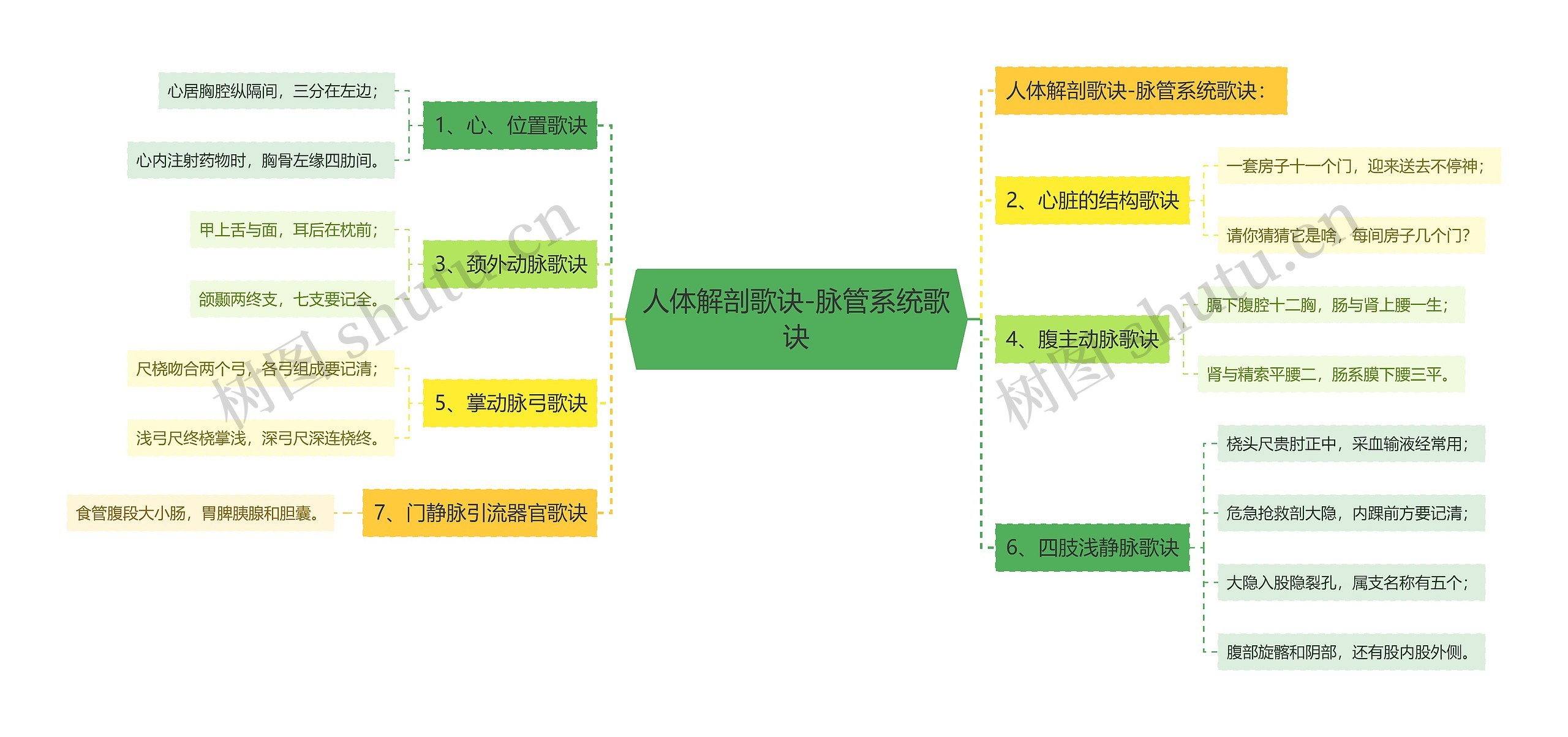 人体解剖歌诀-脉管系统歌诀思维导图