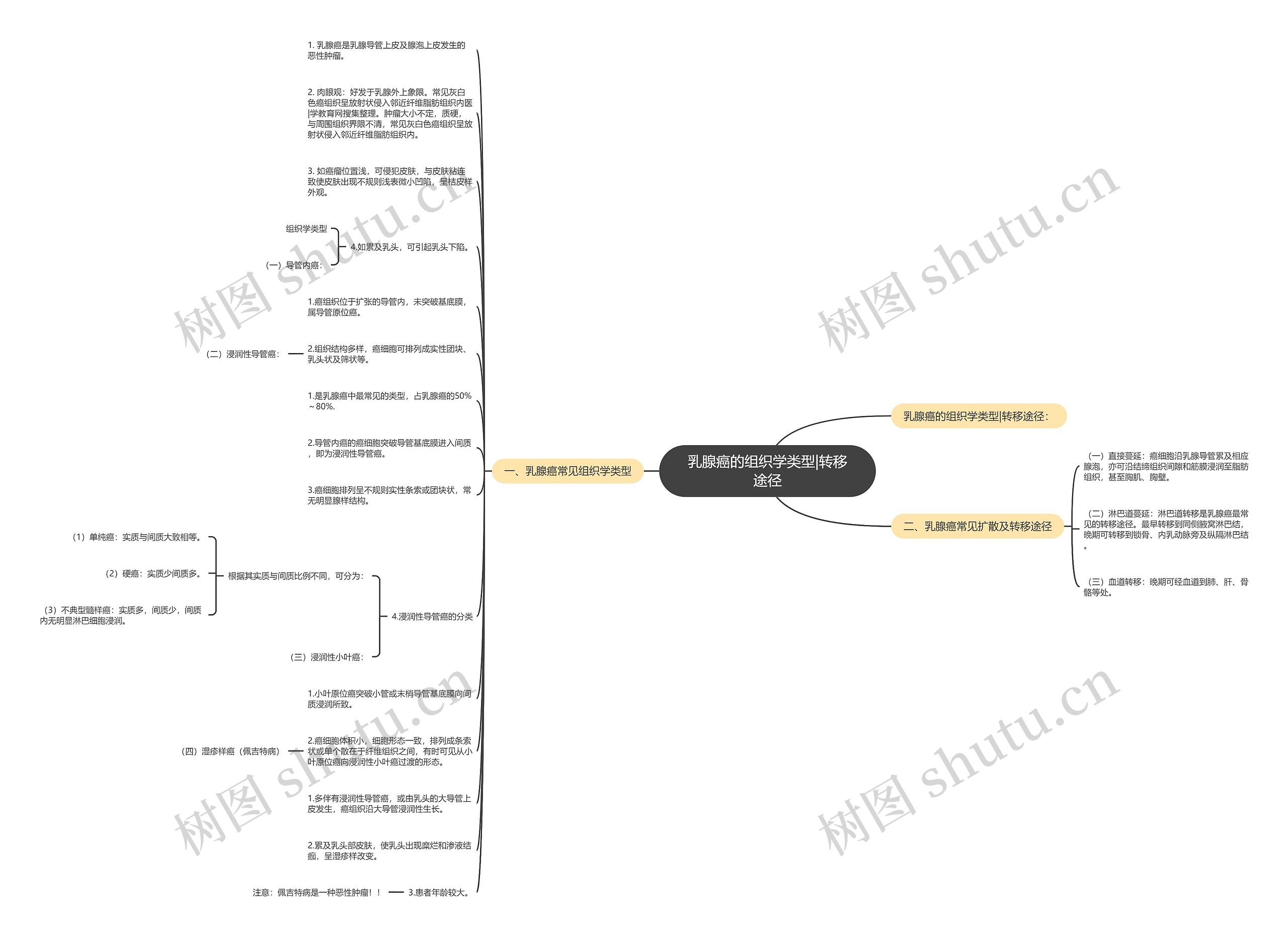 乳腺癌的组织学类型|转移途径思维导图