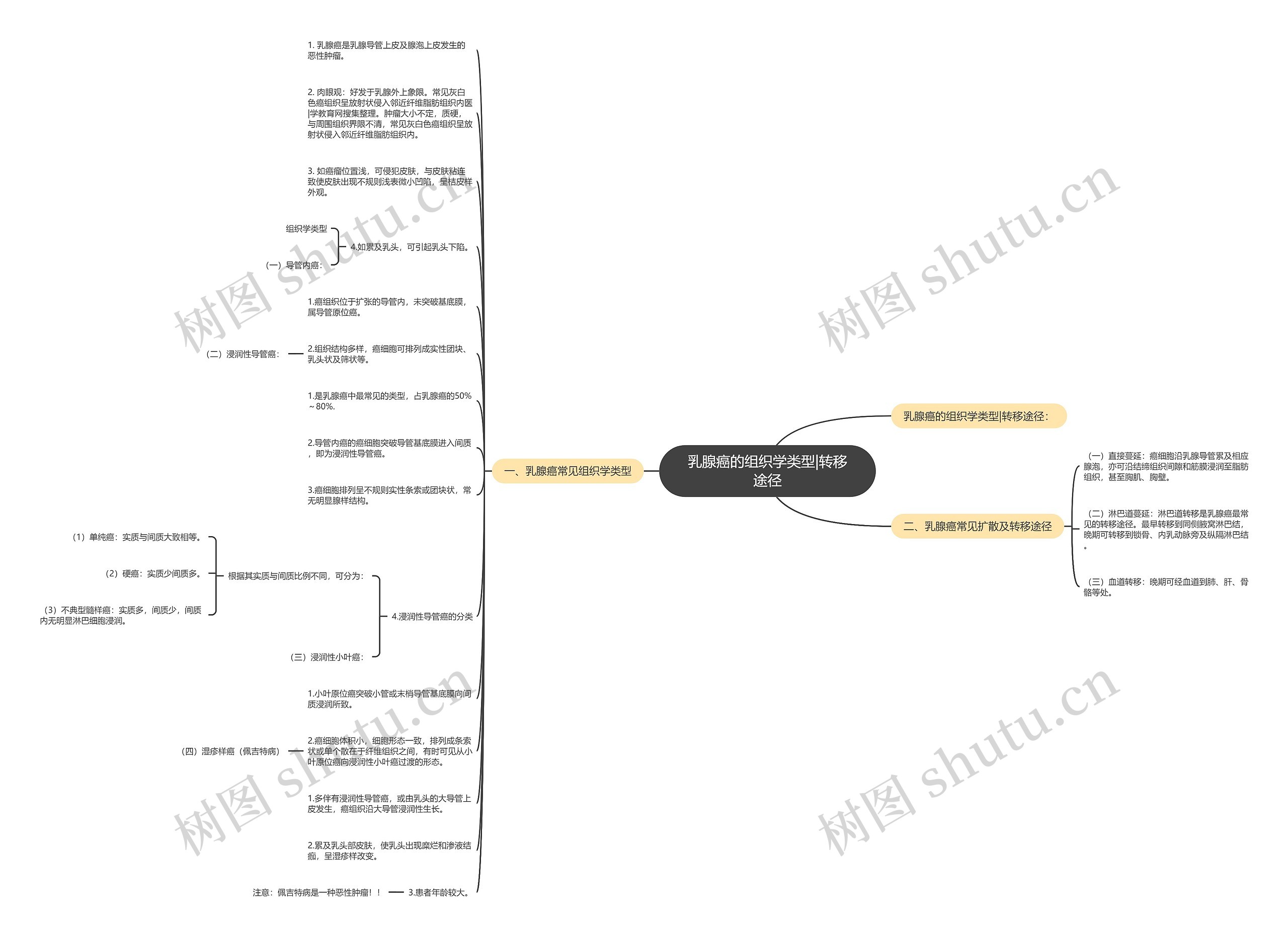 乳腺癌的组织学类型|转移途径 乳腺癌的组织学类型|转移途径